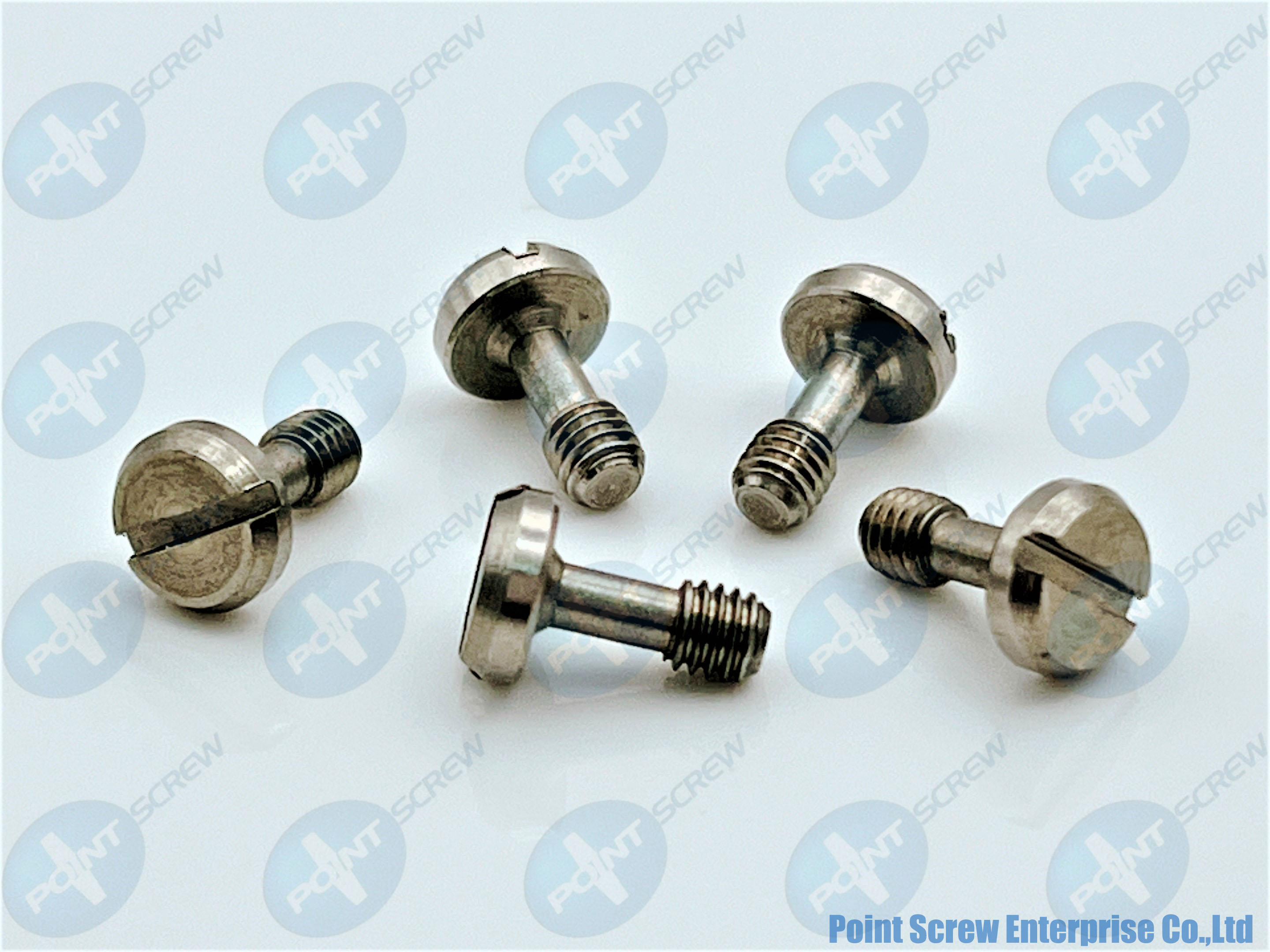 Slotted Screw